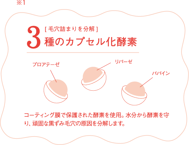 ３種のカプセル化酵素 毛穴詰まりを分解 コーティング膜で保護された酵素を使用。水分から酵素を守り、頑固な黒ずみ毛穴の原因を分解します。