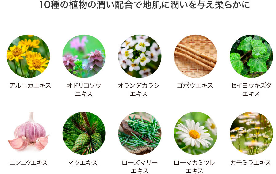 10種の植物で潤い成分配合で地肌に潤いを与え柔らかに
