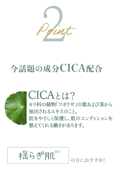 ポイント2 今話題の成分CICA配合