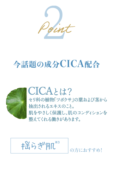 ポイント2 今話題の成分CICA配合